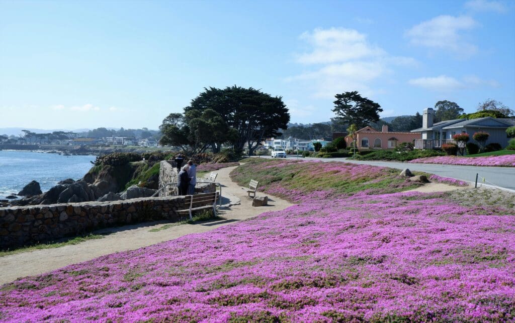 Pacific Grove Trail