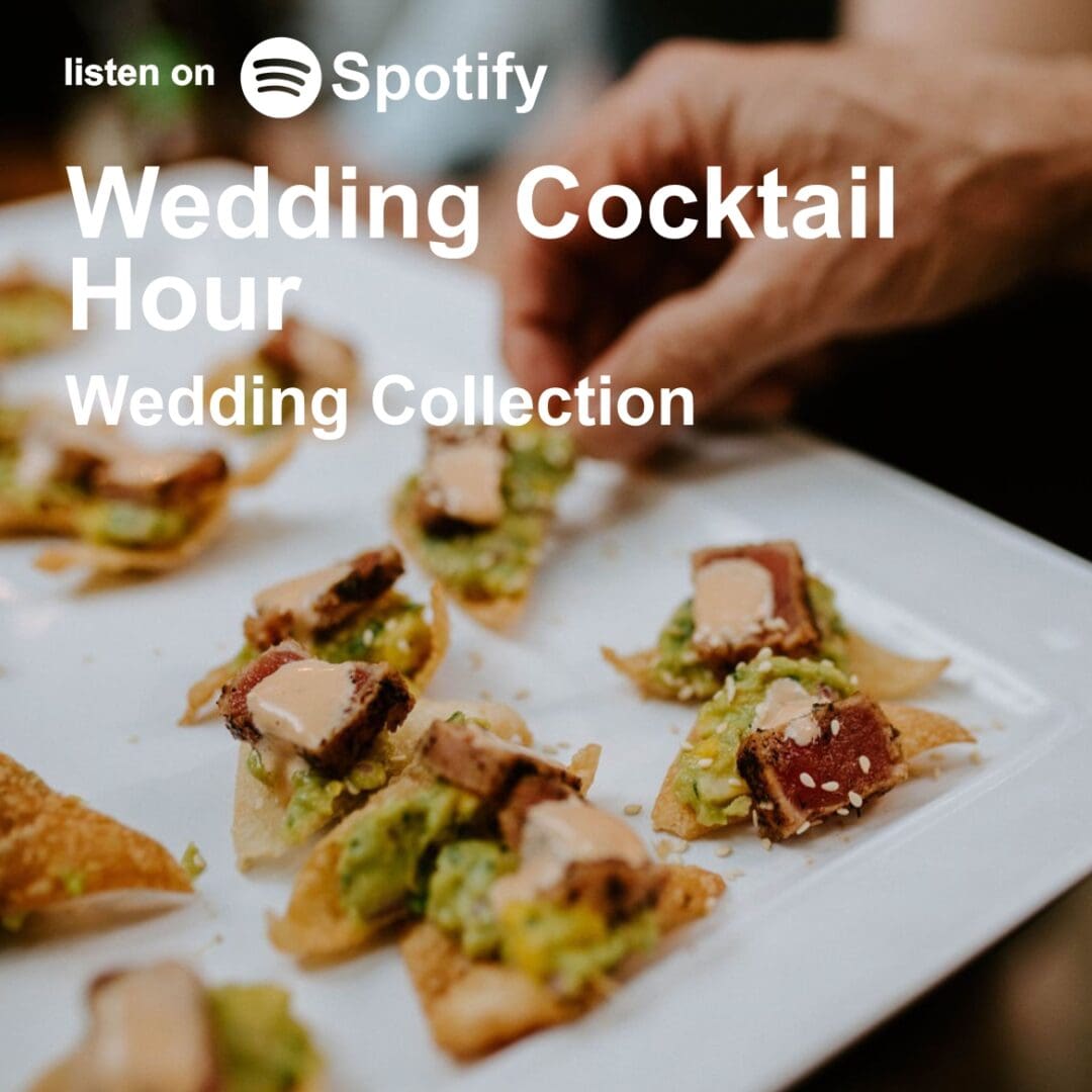 Wedding Cocktail Hour Music playlists on central coast wedding DJ Justin Warwick's website. The best wedding DJ in Carmel-by-the-Sea, California DJ Warwick