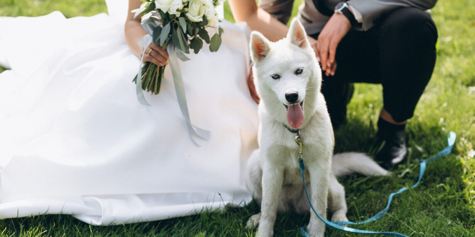 Is it OK to Have Our Dog be in Our Wedding Ceremony